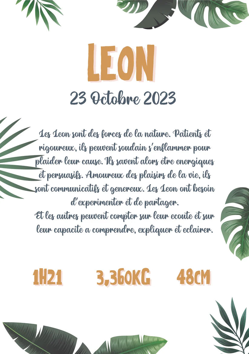 Affiche Jungle Numérique