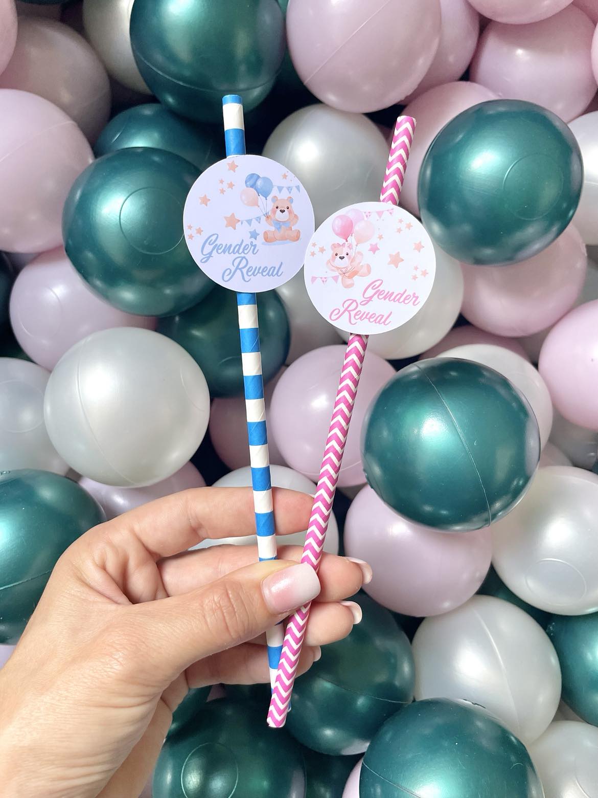 Pailles Gender Reveal