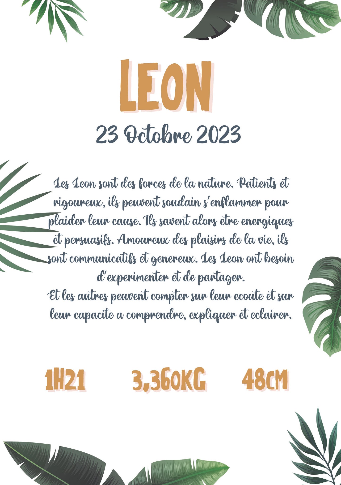 Signification Détaillée Jungle